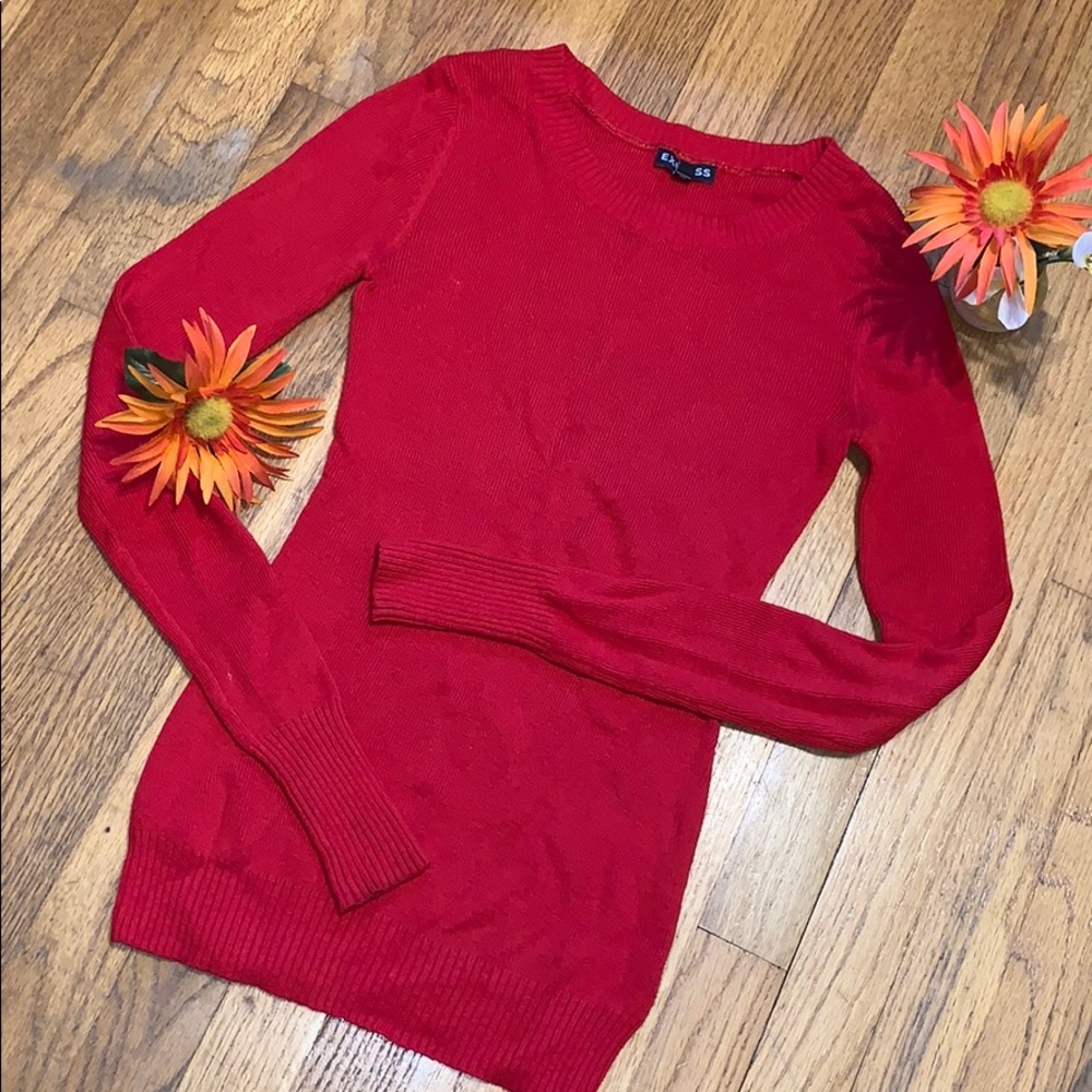 Express Red Sweater